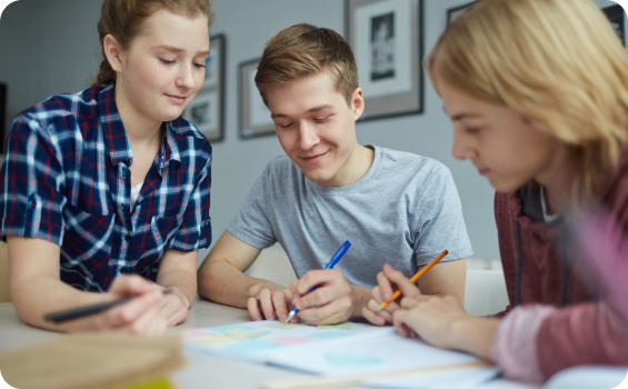 Students studying with Leaving Cert Plus