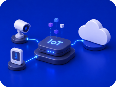 IoT Platform Development